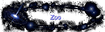 Zoo